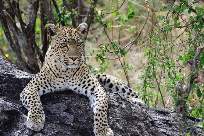 Day Trip to Ngorongoro Crater - Lake Magadi and the crater’s water supply