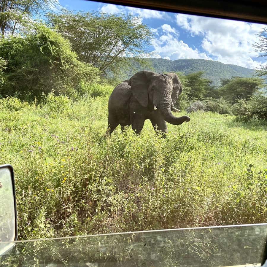 Day trip to tarangire national park - Key points before you book
