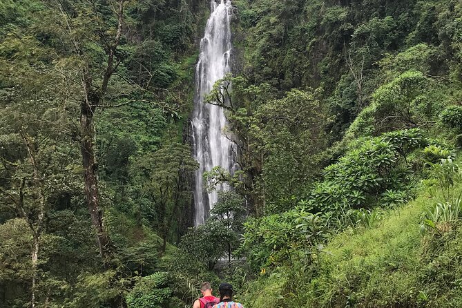 DayTour to Materuni Waterfalls with Coffee & Hotsprings Excursion - Key points to know before booking