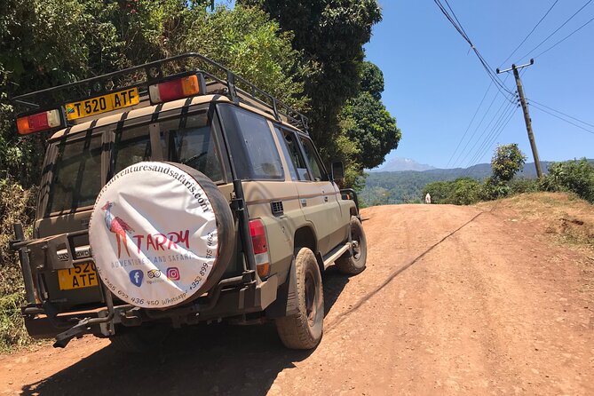 DayTour to Materuni Waterfalls with Coffee & Hotsprings Excursion - Coffee, lunch, and the Chaga connection
