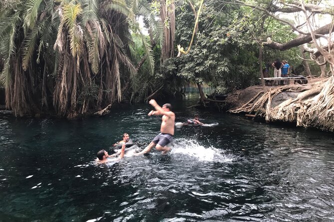 DayTour to Materuni Waterfalls with Coffee & Hotsprings Excursion - Is the $150 price fair?