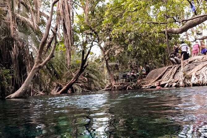 DayTour to Materuni Waterfalls with Coffee & Hotsprings Excursion - Walking the trail to Materuni Waterfalls