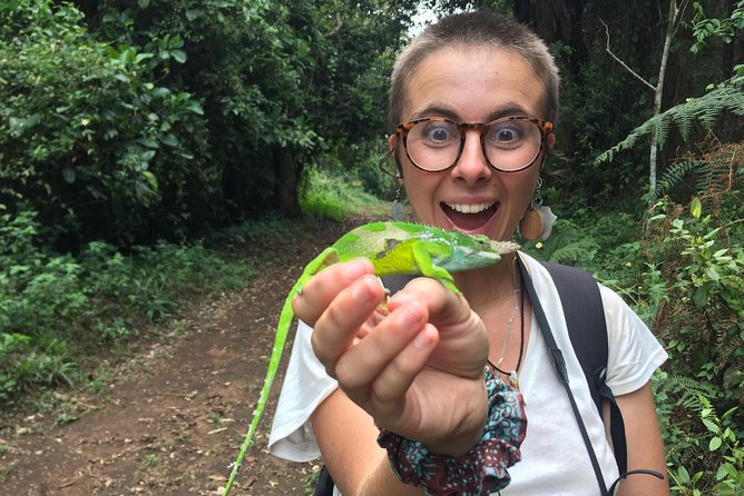 Discover Nature and Culture of Materuni Waterfall & Coffee Tour - Following the trail through Materuni farms