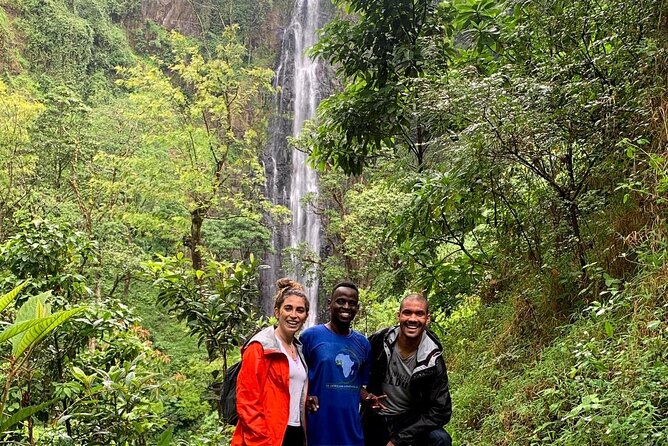 Discover Nature and Culture of Materuni Waterfall & Coffee Tour - Lunch, timing, and the private format