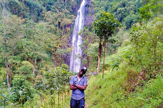 Discover Nature and Culture of Materuni Waterfall & Coffee Tour - What the guide can add to the day