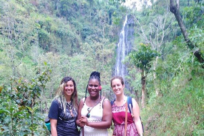 Discover Nature and Culture of Materuni Waterfall & Coffee Tour - Final verdict: a strong-value Moshi day trip