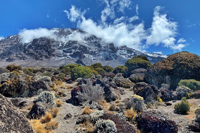 Discover Our Latest 6 Days Climbing Kilimanjaro - Marangu Route - Day 3: Acclimatization around Horombo Huts