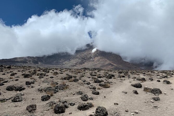 Discover Our Latest 6 Days Climbing Kilimanjaro - Marangu Route - Day 5: The long push to Uhuru Peak