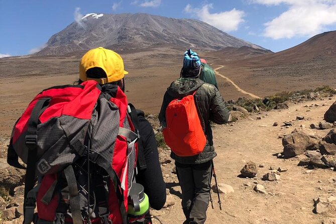 Discover Our Latest 6 Days Climbing Kilimanjaro - Marangu Route - Day 6: Descending from Horombo to Moshi