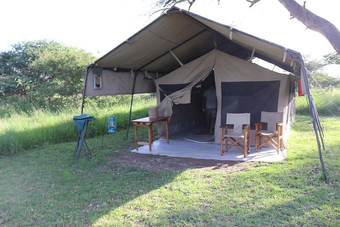 Discover Tanzania through the 3 wild classics - Guides are the heart of the trip
