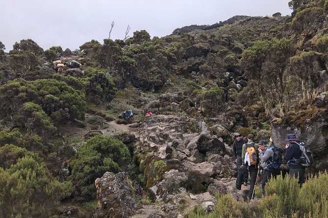 Discover The Best 7-day Kilimanjaro climbing via Machame route - Day 1: Machame Gate to Machame Camp