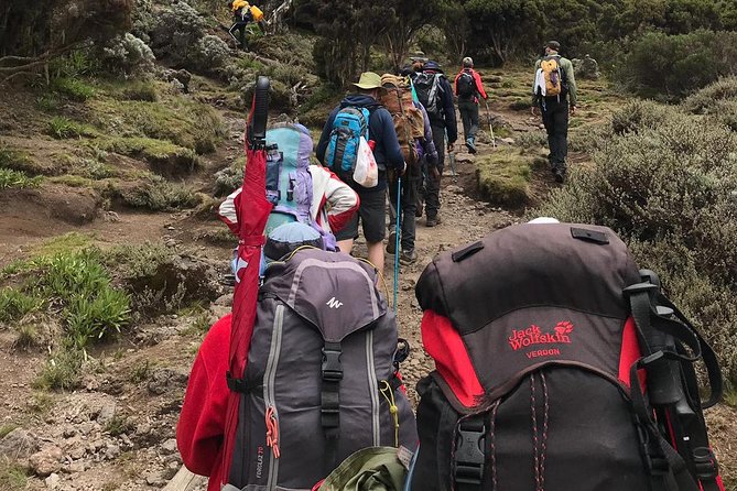 Discover The Best 7-day Kilimanjaro climbing via Machame route - Day 5: Karanga Camp to Barafu Camp