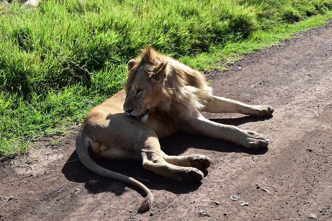 Discover The World's Top Best 4-day Tanzania Group Camping safari - Is $1,334 good value?