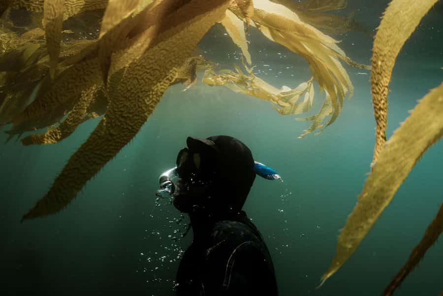 Discover Tumbatu Island: Private Snorkeling Adventure - The beach stop is conditional, not guaranteed