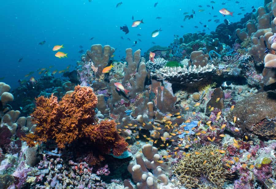 Discover Tumbatu Island: Private Snorkeling Adventure - Weather can change the whole experience