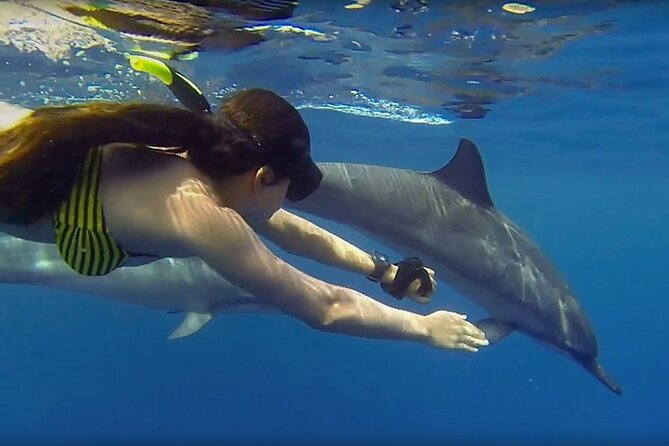 Dolphin and Tumbatu Island Snorkeling Tour with Pickup - Why the small boat changes the experience