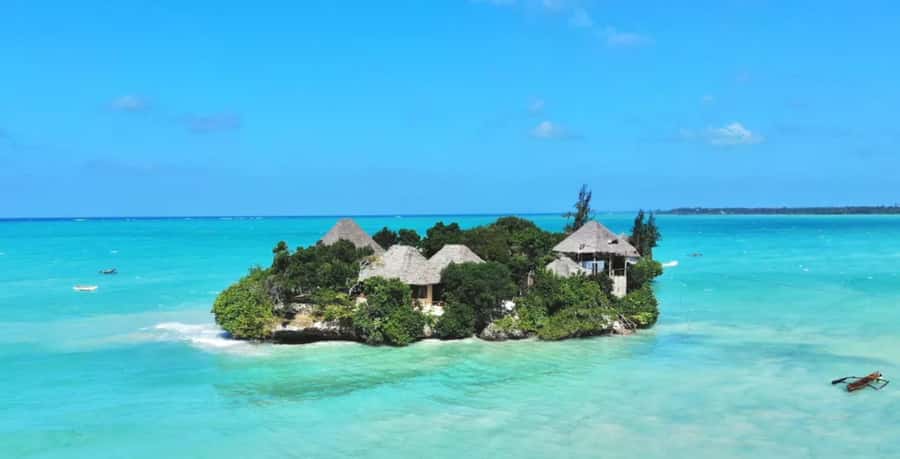 Dolphin Tour, Jozani Forest, Prison Island, Island Pongwe - Should you book this Zanzibar day?