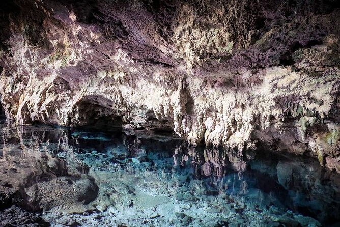 Dolphin Tour; Kuza Cave Tour; Paje Beach; The Rock Restaurant; Jozani Forest - What the $128 price really covers