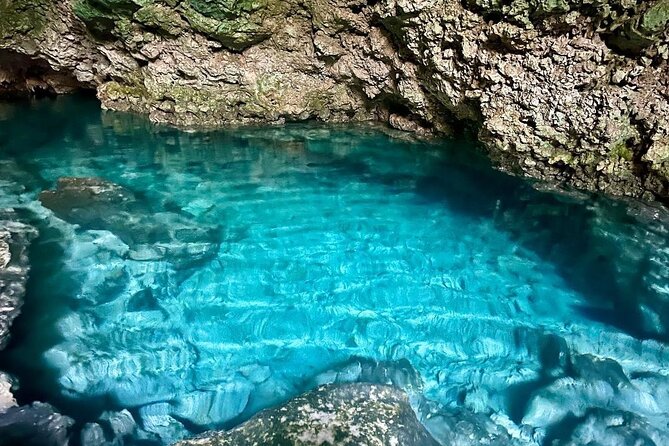 Dolphin Tour; Kuza Cave Tour; Paje Beach; The Rock Restaurant; Jozani Forest - Timing, comfort, and small details that matter