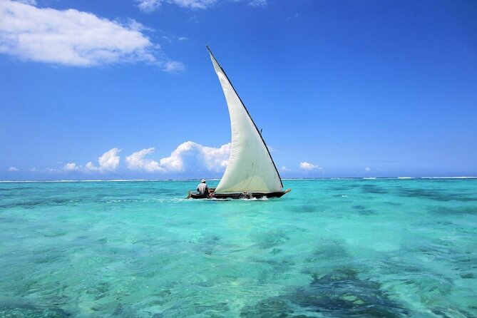 Dolphin Tour & Snorkeling at Mnemba Island - Who should book this Zanzibar boat trip