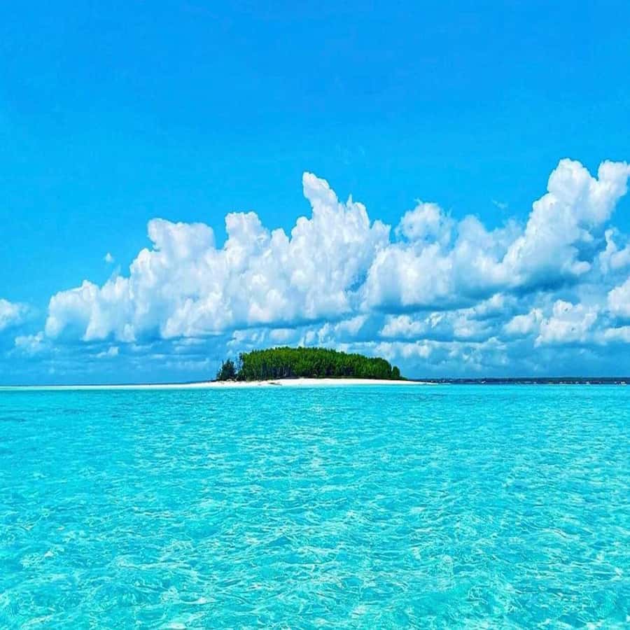 Dolphins & Snorkeling Zanzibar: Mnemba Island Tour - Two hours over the reef