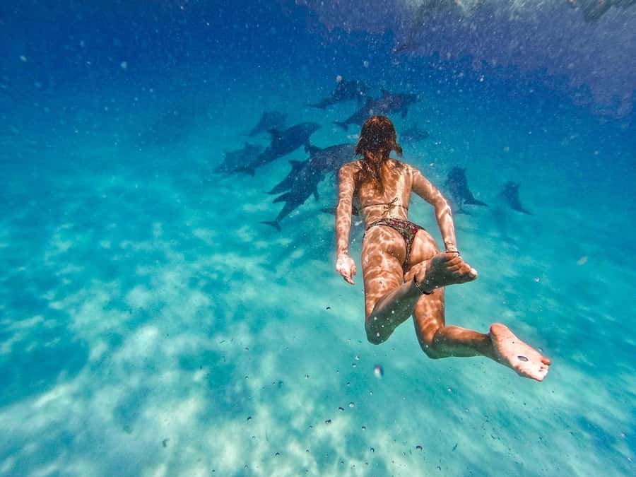 Dolphins tour and turtles swimming in kizimkazi - Who will get the most from this outing