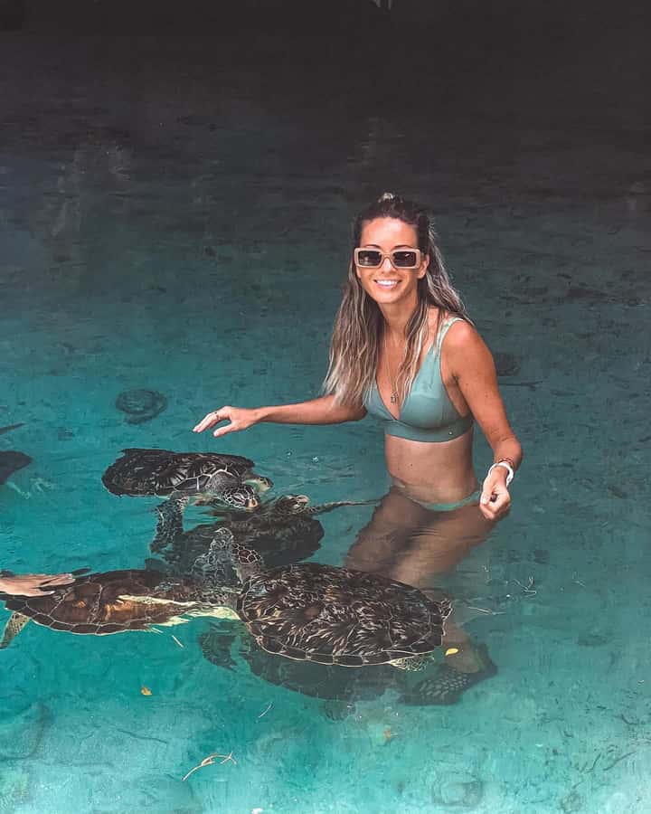 Dolphins tour + mnemba island snorkeling + salaam turles - The 30-minute speedboat ride