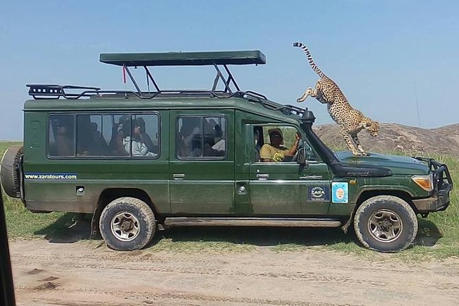 Elephant Special Serengeti & Ngorongoro Crater 5 Days / 4 Nights - Day four: Wildlife inside Ngorongoro Crater