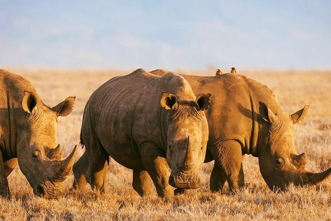 Elephant Special Serengeti & Ngorongoro Crater 5 Days / 4 Nights - Day five: Lake Manyara and the Rift Valley escarpment