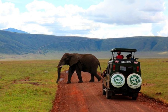 Elephant Special Serengeti & Ngorongoro Crater 5 Days / 4 Nights - What the $2,418.47 price includes