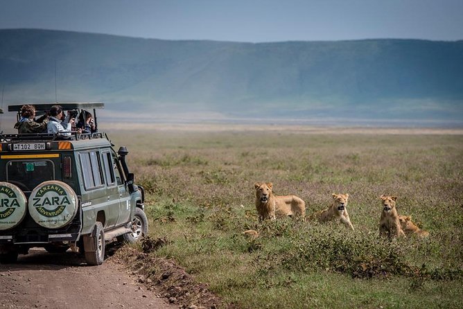 Elephant Special Serengeti & Ngorongoro Crater 5 Days / 4 Nights - Day two: Olduvai Gorge on the way to Serengeti