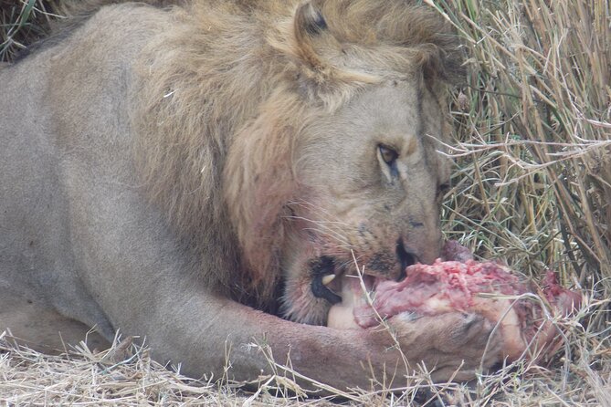 Enjoy a Private Day Trip to Lake Manyara National Park. - Leaving Arusha in a private 4x4