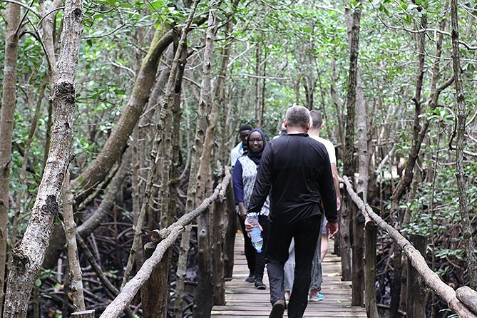 Exclusive Full-Day Zanzibar Adventure: Jozani Forest, Hidden Gems - How the private format changes the day
