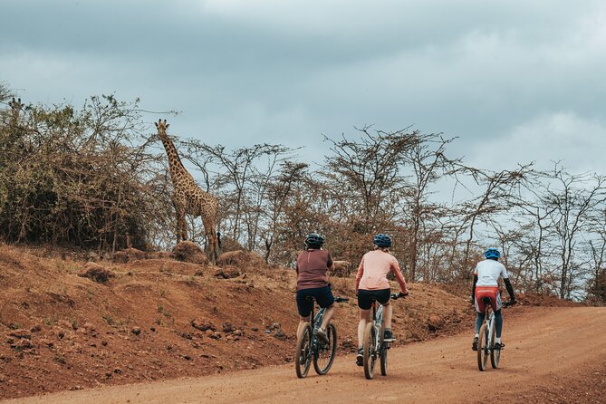 Explore the 360° of Kilimanjaro - Day 1: Arrival in Moshi and a useful test ride