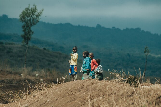 Explore the 360° of Kilimanjaro - Day 3: Elephants and open country in Enduimet