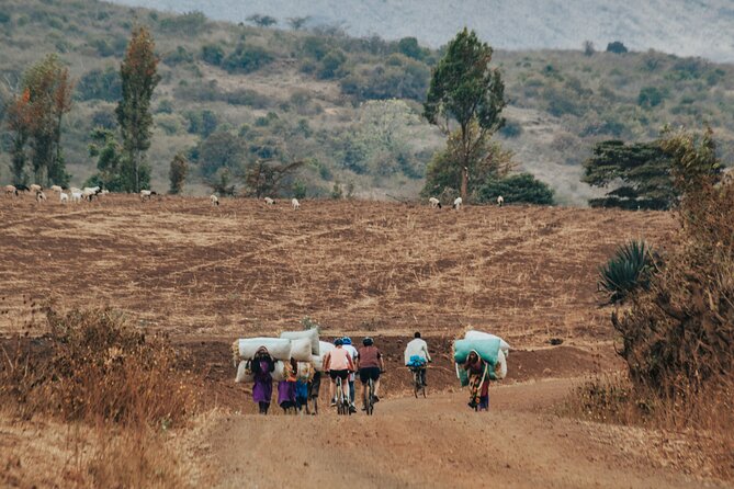 Explore the 360° of Kilimanjaro - Day 4: Toward Rongai and the Kenyan border