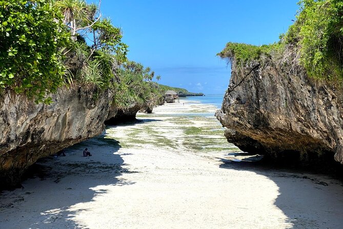 Explore Zanzibar's 6 Quintessential Southeastern Charm Full day - Salaam Cave at Kizimkazi Dimbani
