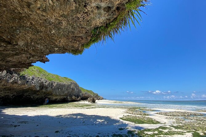 Explore Zanzibar's 6 Quintessential Southeastern Charm Full day - Mtende Beach and the included picnic