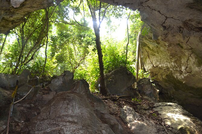 Exploring the Hidden Gems of Zanzibar - Bwejuu’s coral garden and starfish snorkeling
