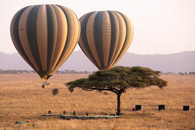 Extraordinary Hot air Bolloon ride in Serengeti | BURIGI CHATO SAFARIS CO L.T.D - Key points to know before booking
