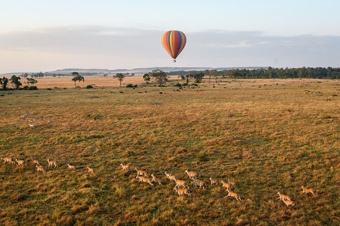Extraordinary Hot air Bolloon ride in Serengeti | BURIGI CHATO SAFARIS CO L.T.D - Who will enjoy this morning most?