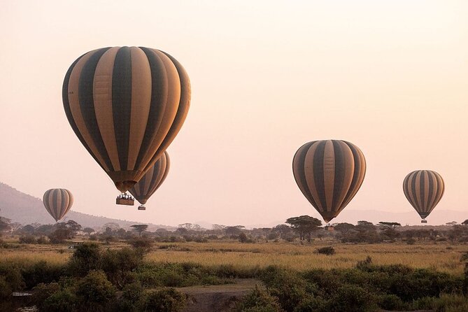 Extraordinary Hot air Bolloon ride in Serengeti | BURIGI CHATO SAFARIS CO L.T.D - Best season and weather planning