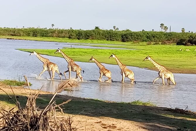 Flight Package Zanzibar to Nyerere National Park (Selous GR) 3 Days 2 Nights - Day three: Maasai culture before the return flight