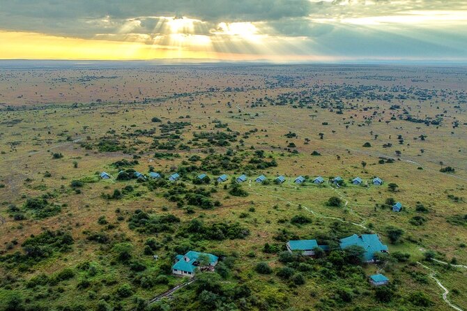 From Arusha : 3 Days Private Safari Tarangire N.P and Serengeti - Flying from Seronera to Arusha