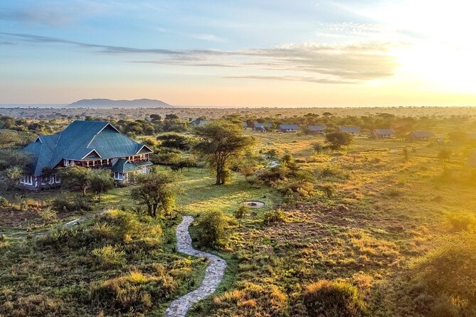 From Arusha : 3 Days Private Safari Tarangire N.P and Serengeti - The Serengeti in a half day