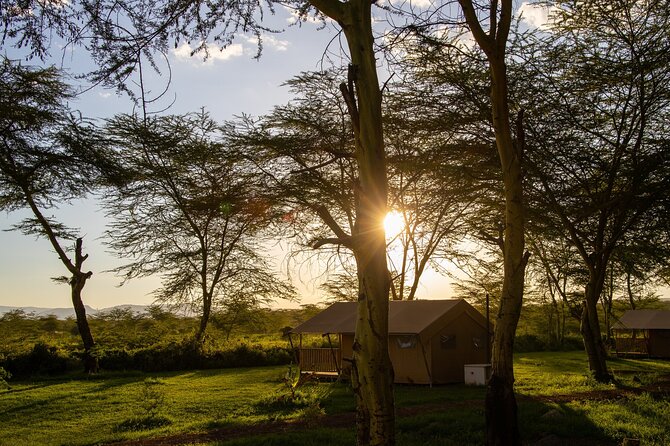 From Arusha: 5 Days Classic Safari Cats, Calves & Crater - Day 5: The three-hour return to Arusha