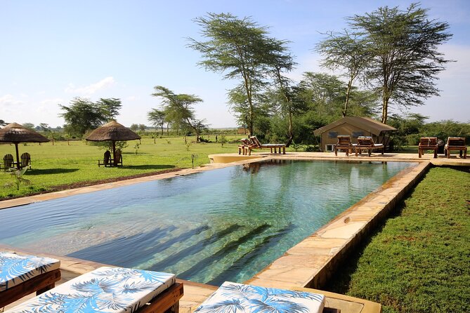 From Arusha: 5 Days Classic Safari Cats, Calves & Crater - Day 2: Through Ngorongoro to Lake Ndutu