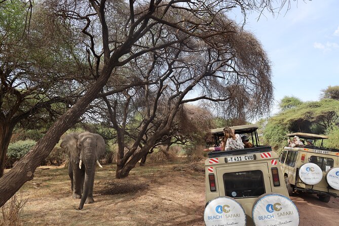 From Arusha: 6 Day Classic Game Drive Serengeti & Ngorongoro - Day 1: Arusha to Lake Manyara’s forest and lake