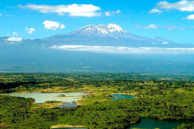 From Arusha: 7 Days Classic Safari Central Northern Circuit - Day 2: A useful rest day in the Manyara Region