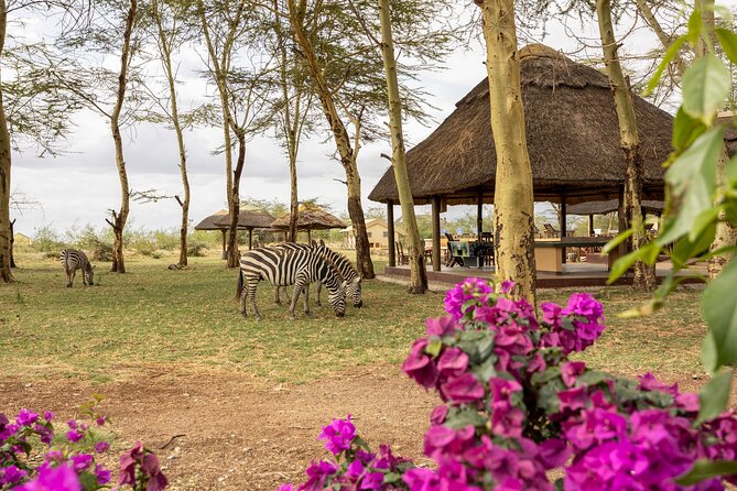 From Arusha: 9 Days Private Guided Classic Game Drive in Tanzania - Day 4: Through Loliondo to Ololosokwan